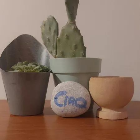 Casa Bambou * سكاليا