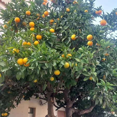 Casa Bambou شقة سكاليا